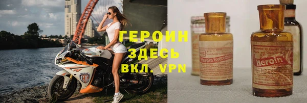 прущие грибы Алзамай