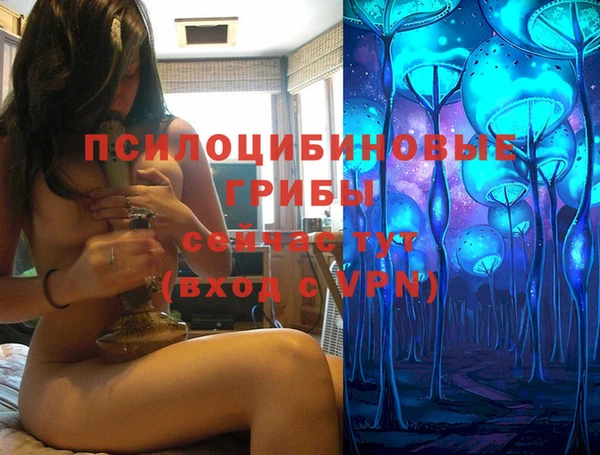 прущие грибы Алзамай
