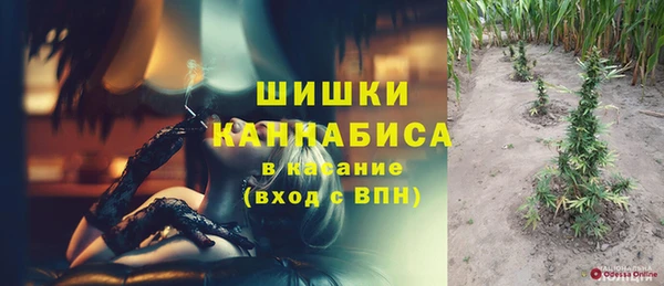 гашик Нефтекумск