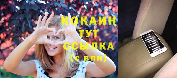гашик Алексин