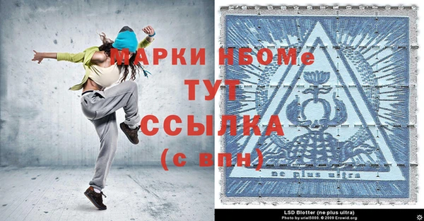 гашик Алексин